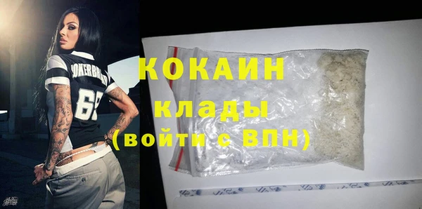 шишки Лиски