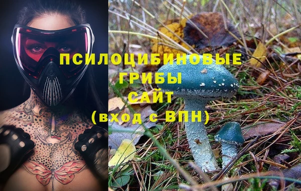 mdma Лагань