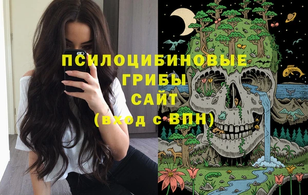 спайс Липки