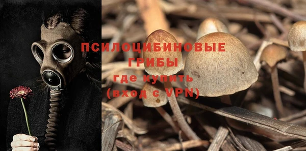 спайс Липки
