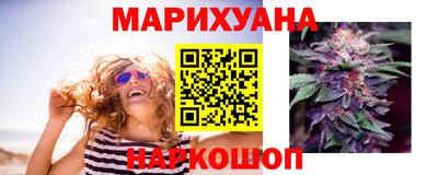 сатива Ирбит