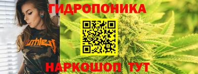 сатива Ирбит