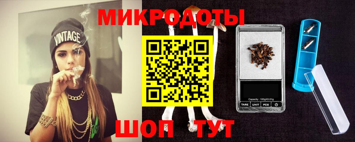 Галлюциногенные грибы Psilocybine cubensis Лесосибирск