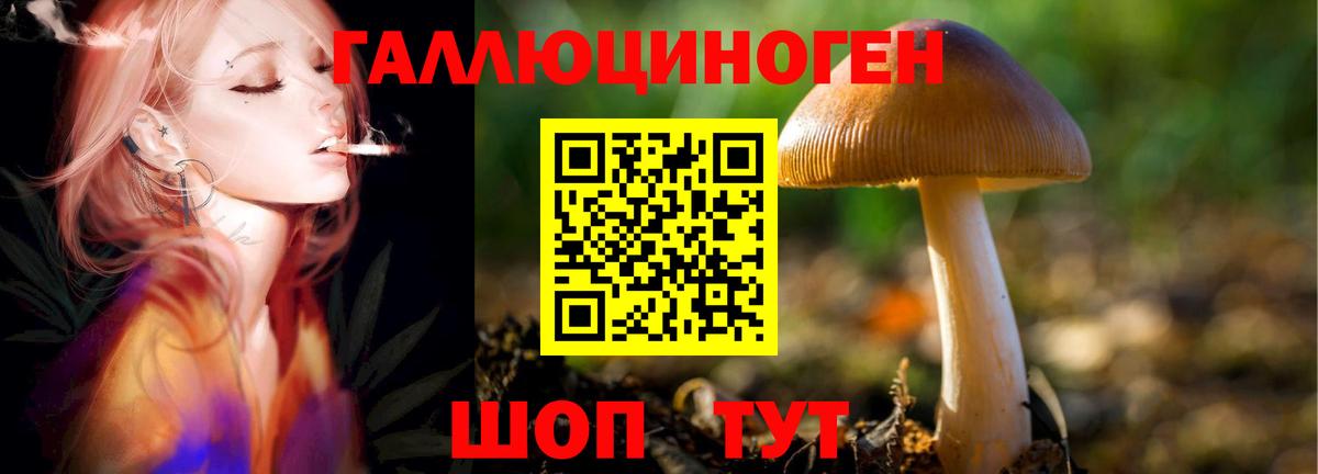 Псилоцибиновые грибы мухоморы  Вход с VPN  Галлюциногенные грибы MAGIC MUSHROOMS  Лесосибирск 